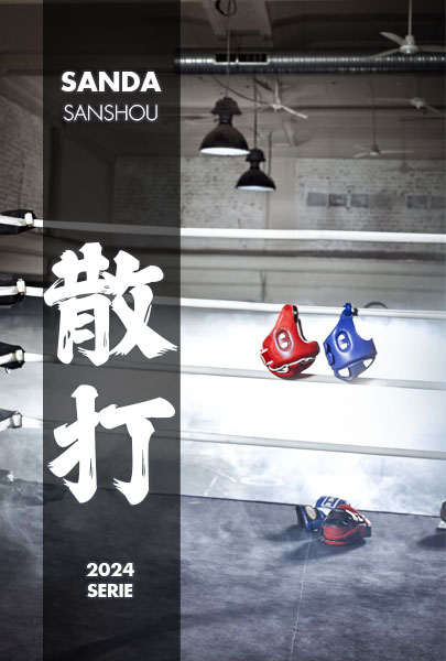 Wushu-Chaussures d'arts martiaux chinois, Nanquan, Changquan, Taiji,  Tapiercing, Kungfu, ccwushu